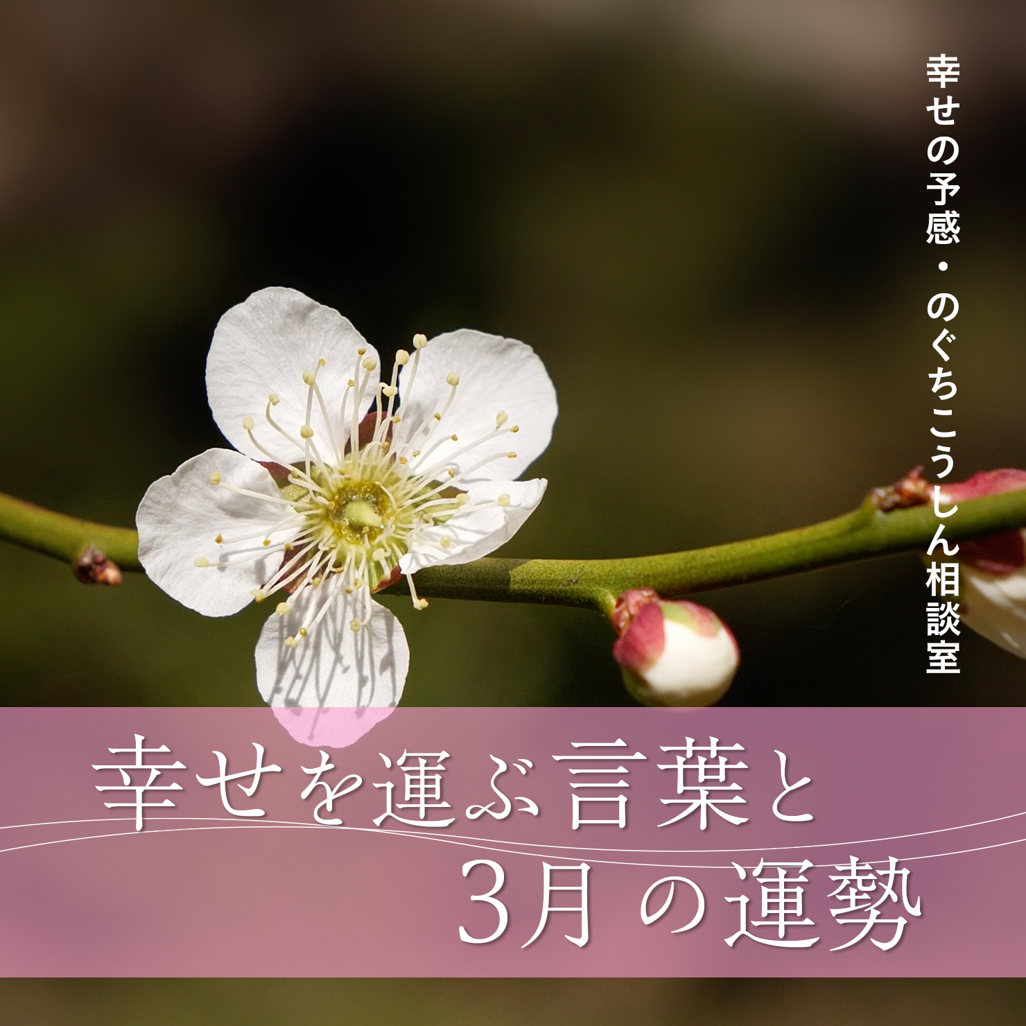 幸せを運ぶ言葉と22年3月の運勢 幸せの予感 のぐちこうしん相談室 Even If